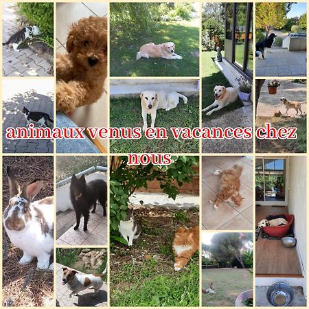 Gite Ma Vie La 3 Etoiles, Jacuzzi, Animaux Acceptes Saint-Julien-de-Cassagnas Экстерьер фото
