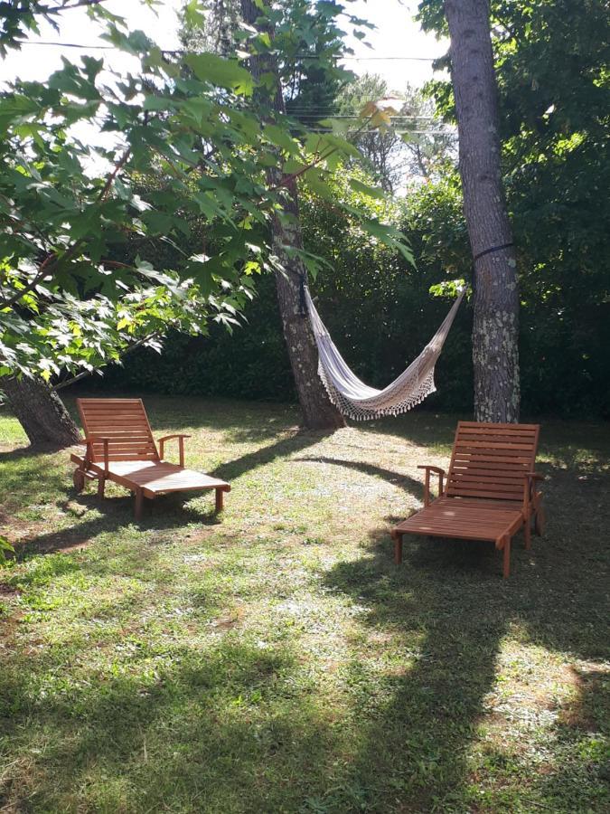 Gite Ma Vie La 3 Etoiles, Jacuzzi, Animaux Acceptes Saint-Julien-de-Cassagnas Экстерьер фото